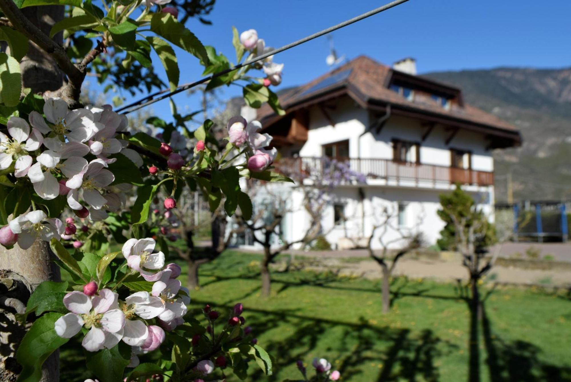 Gut Wendlandt Alloggio per agriturismo Bolzano